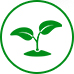 培育技術(shù)
